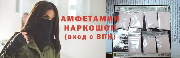 молекула духа Семилуки