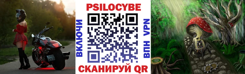 Купить где  Рязань  Галлюциногенные грибы мицелий 